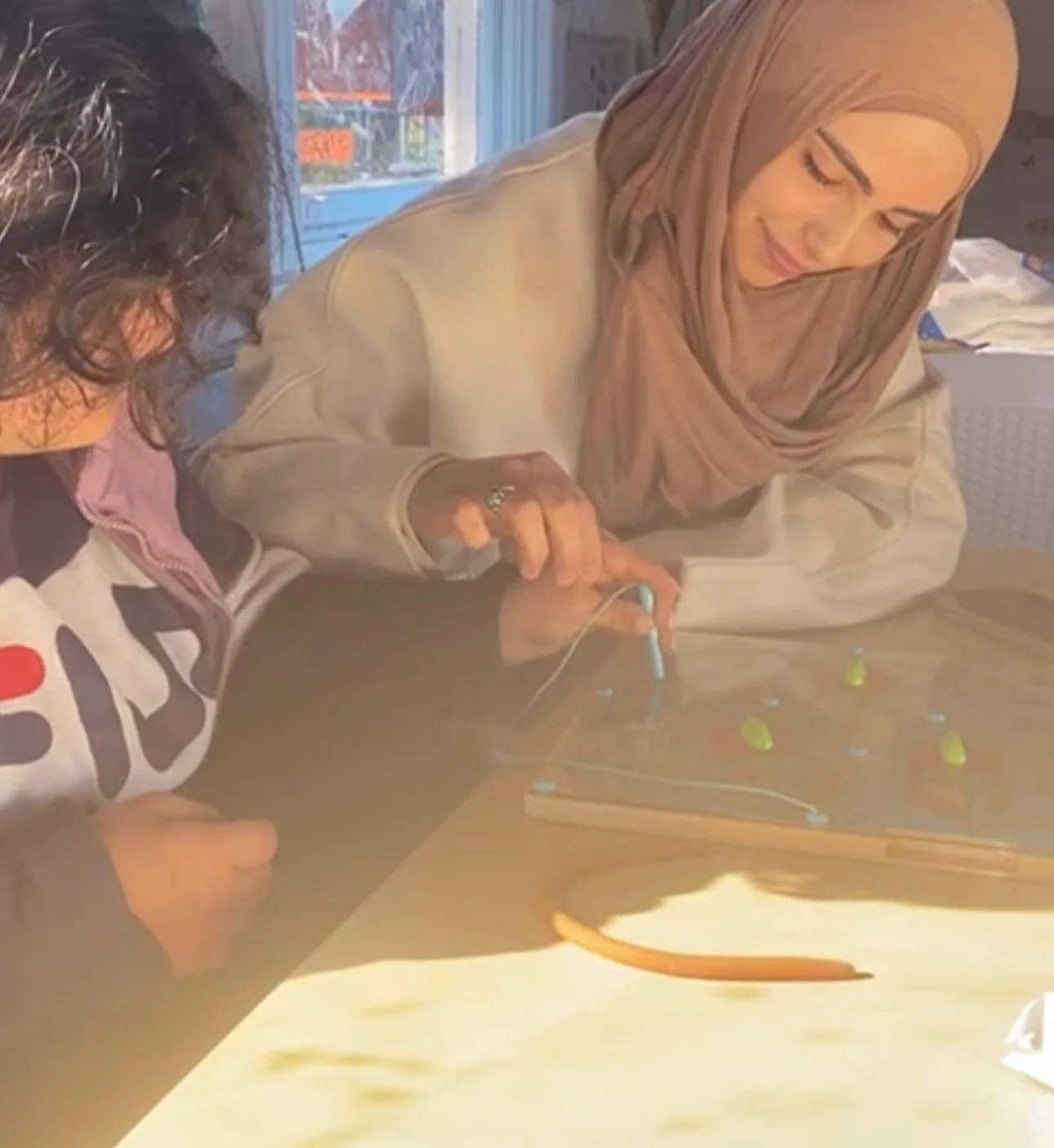 Assist Travel Transport